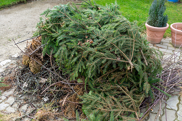 Green Waste - Greenfields Waste